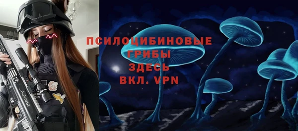 apvp Бронницы