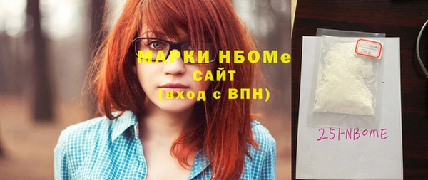 дмт Бородино