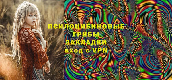 дмт Бородино