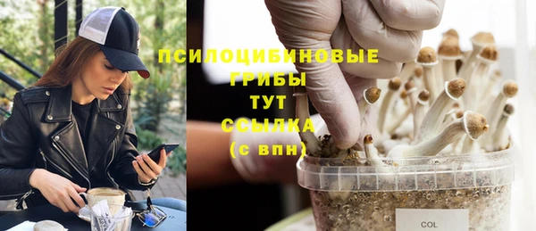 герыч Богородск