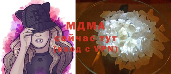 дмт Бородино