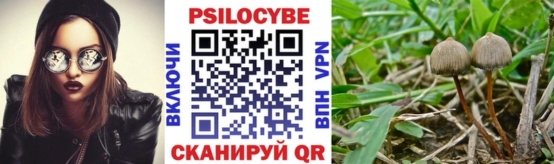 Галлюциногенные грибы Cubensis  Кузнецк 